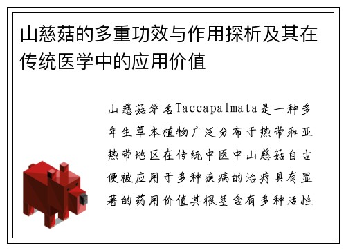 山慈菇的多重功效与作用探析及其在传统医学中的应用价值